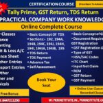 Practical Tally GST TDS Course and Basic to Advance Excel with AI Tools